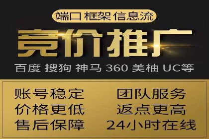 SEM代理助力企业：成功案例分析